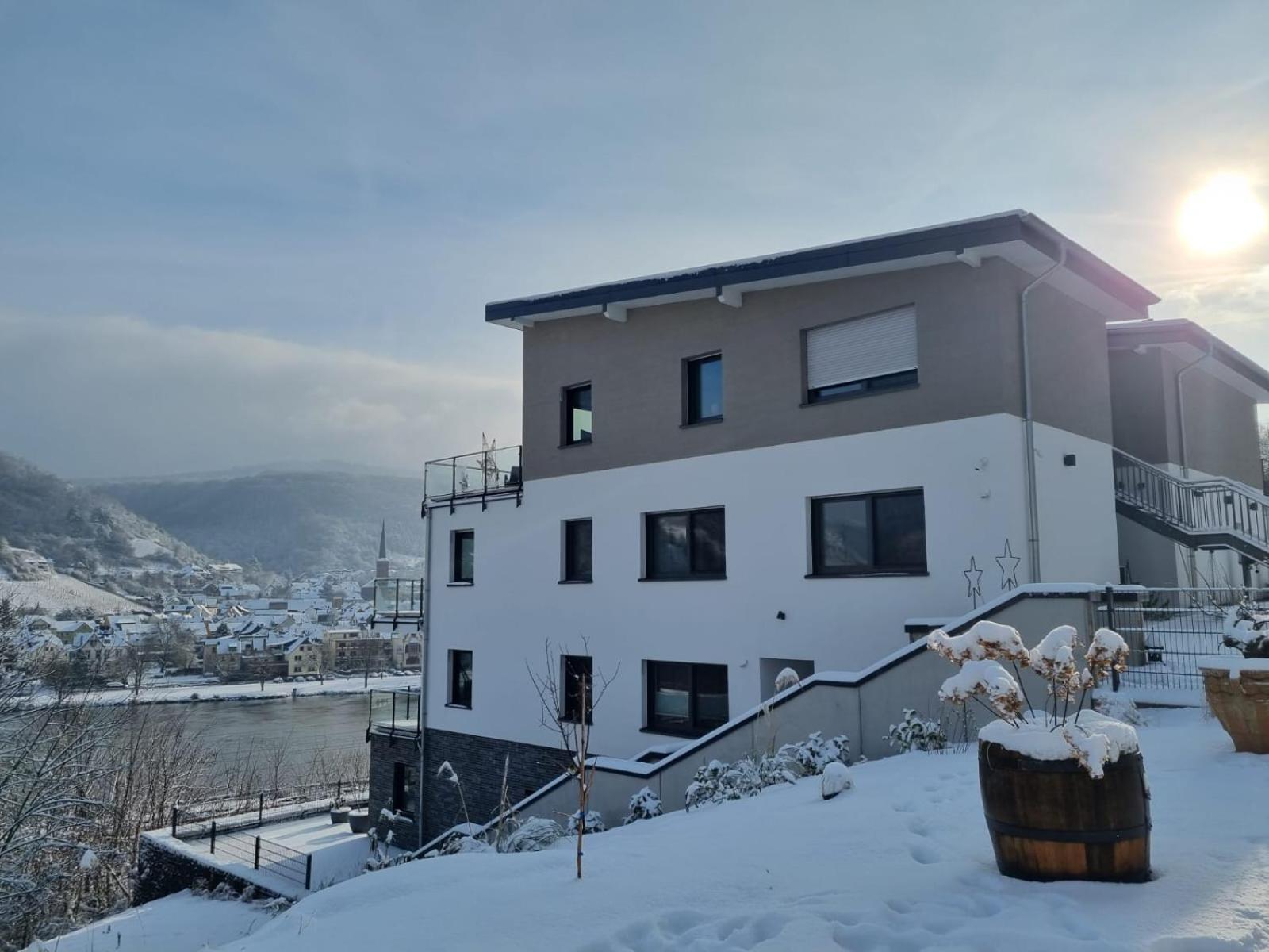 Mv Roemervilla, Lofts & Penthouses Mit Traumhaftem Moselpanoramablick Und Sauna 트라이스카르덴 외부 사진
