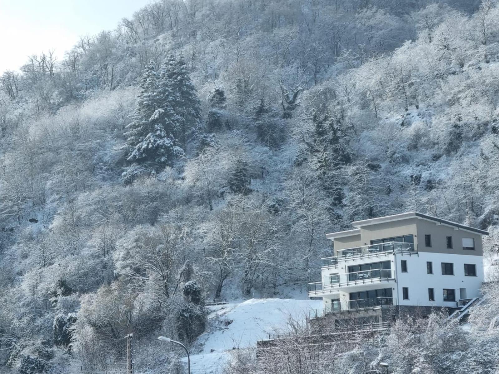 Mv Roemervilla, Lofts & Penthouses Mit Traumhaftem Moselpanoramablick Und Sauna 트라이스카르덴 외부 사진